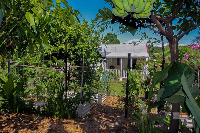 Suburban Permaculture Oasis for Sale in Coffs Harbour, NSW