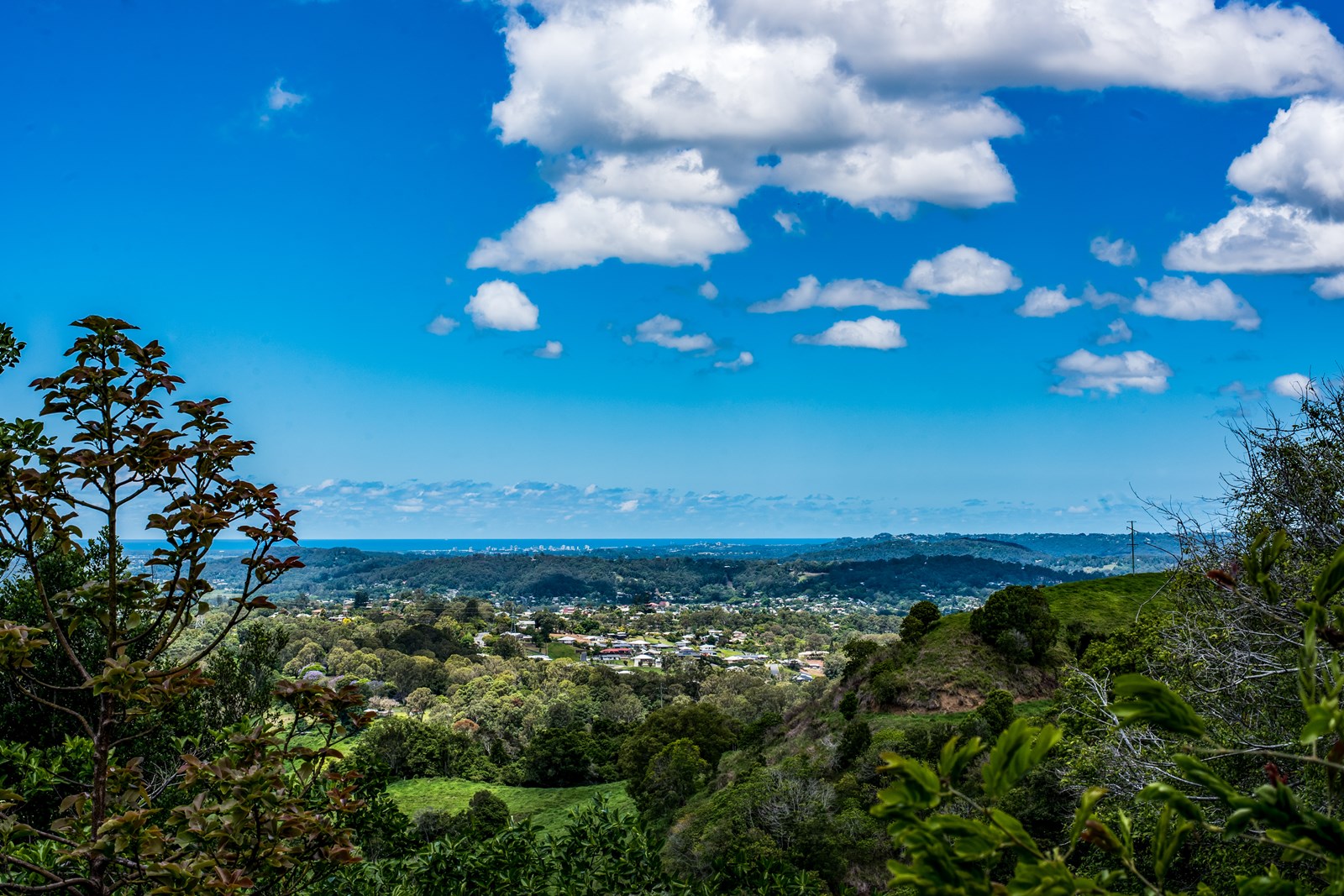 2014003256_11_pi_171115_032545-w3500-h2336-w1600-h1200