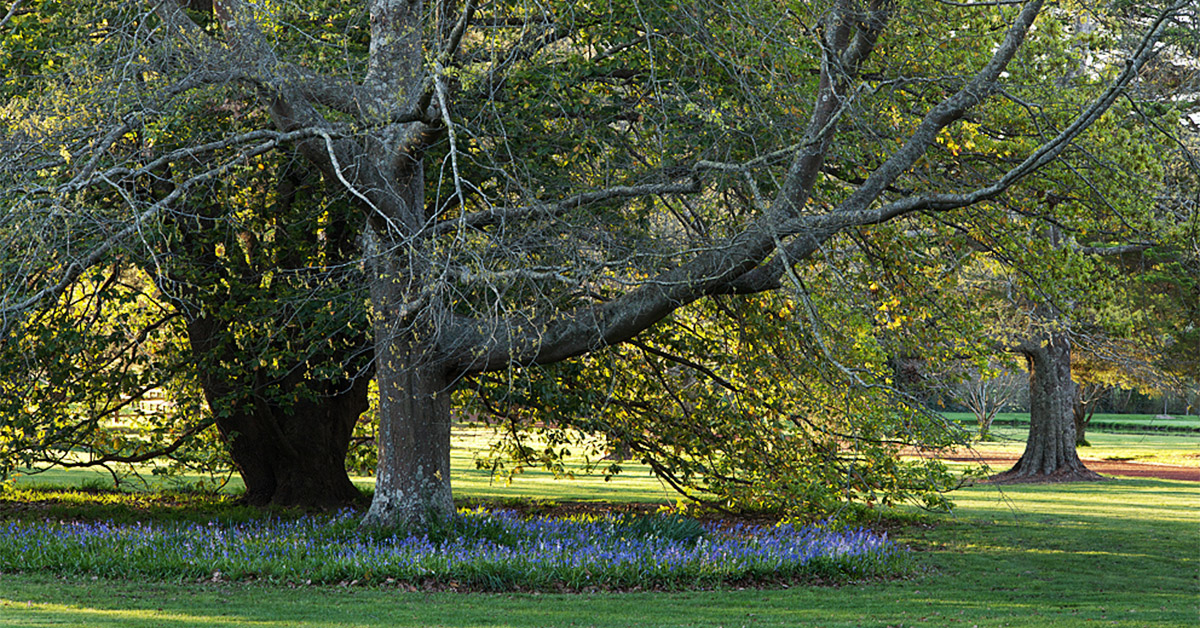 Retford Park Estate in The Highlands , Bowral NSW 2576