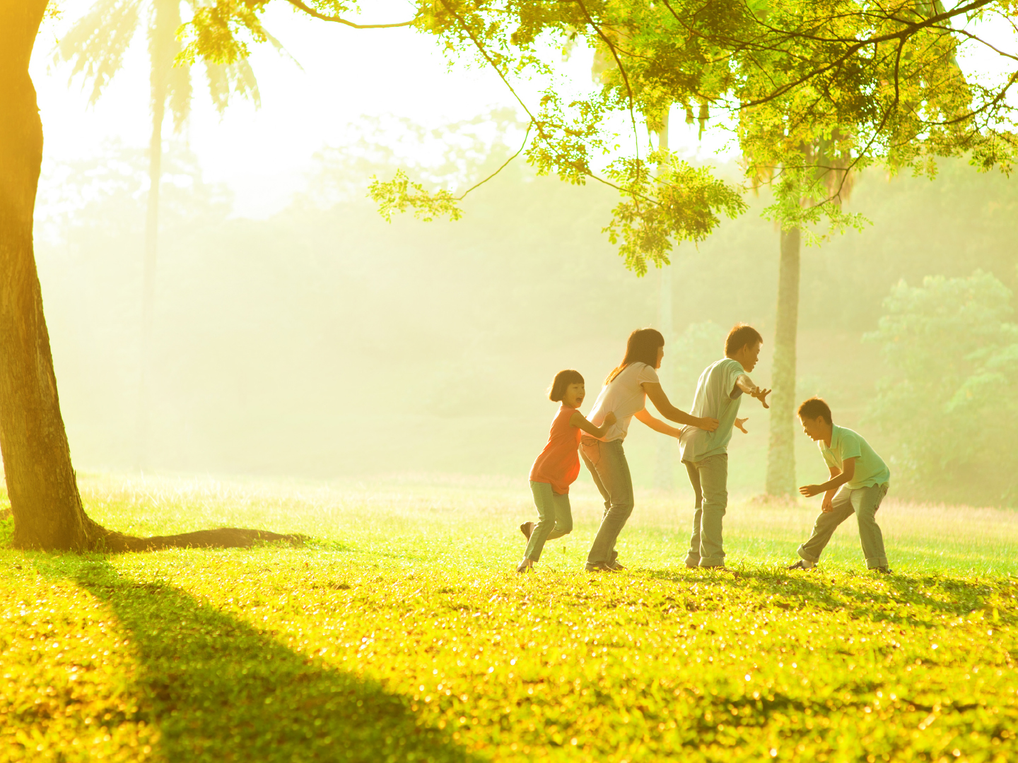 Ascot Land for Sale in 61 Racecourse Rd, Pakenham VIC 3810