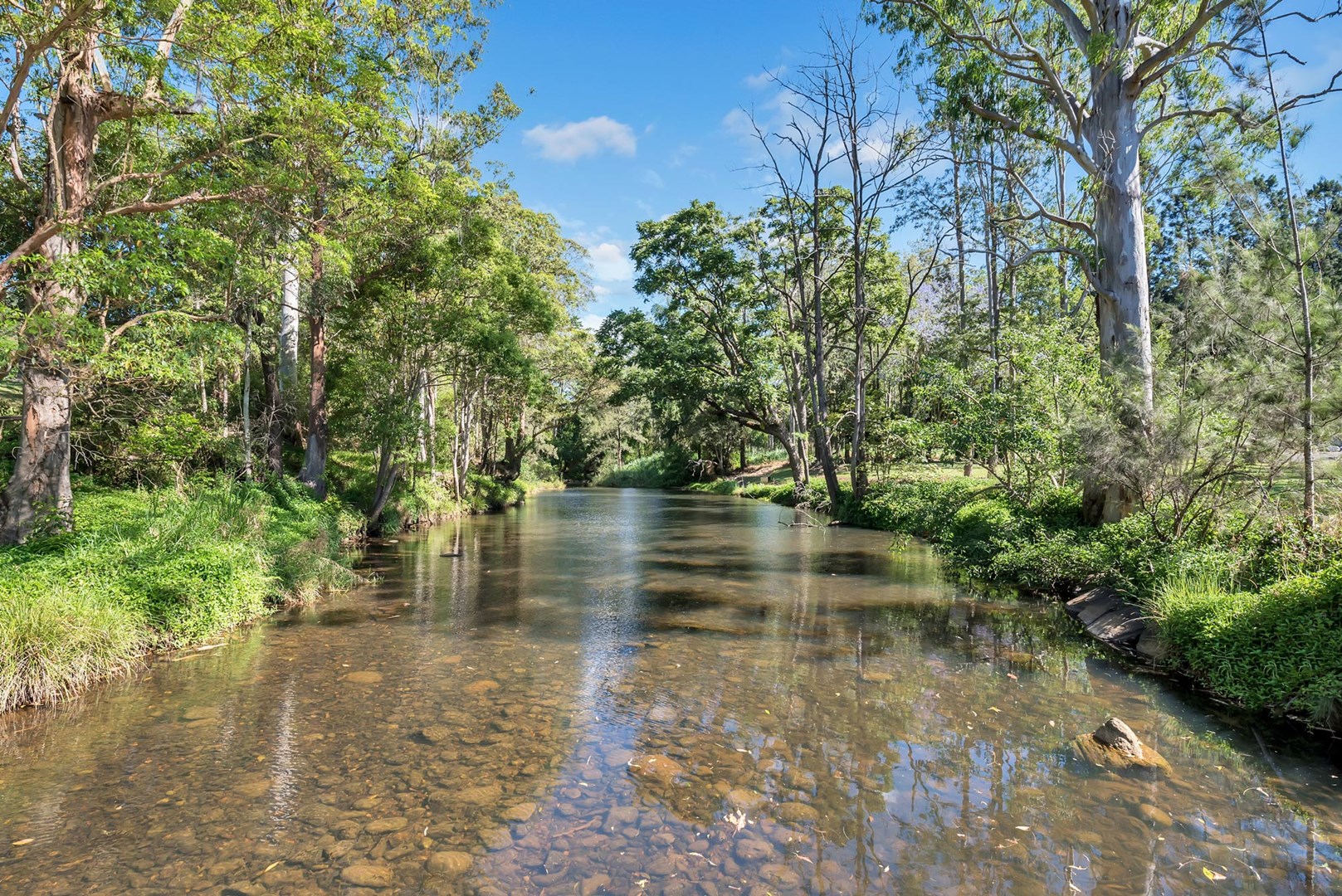 NerangMurwillumbah Road, Numinbah Valley House For Sale 2013224835