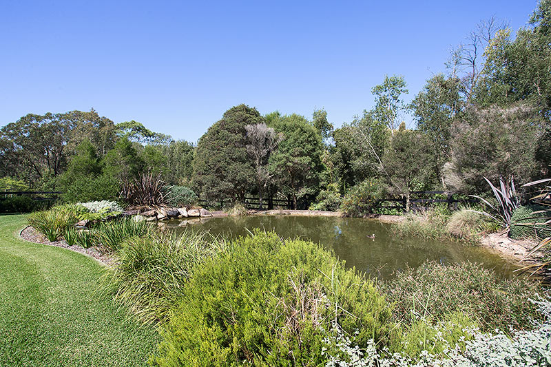 Duffys Forest NSW 2084 House For Sale 2012768471