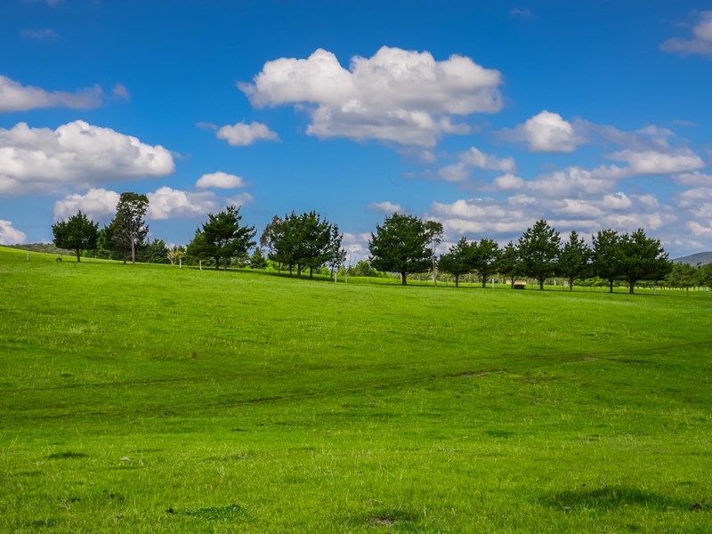 321, 323 Street, Marulan NSW 2579 House For Sale 2012440962