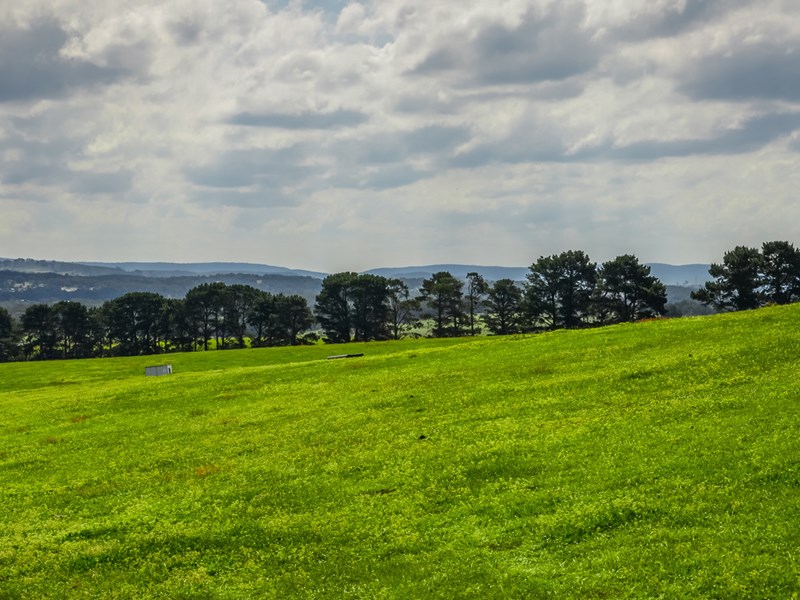 321, 323 Street, Marulan NSW 2579 House For Sale 2012440962