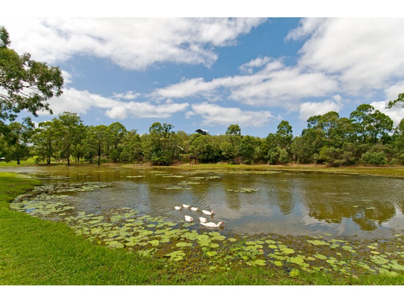 Mount Cotton QLD 4165 House For Sale 2012695110